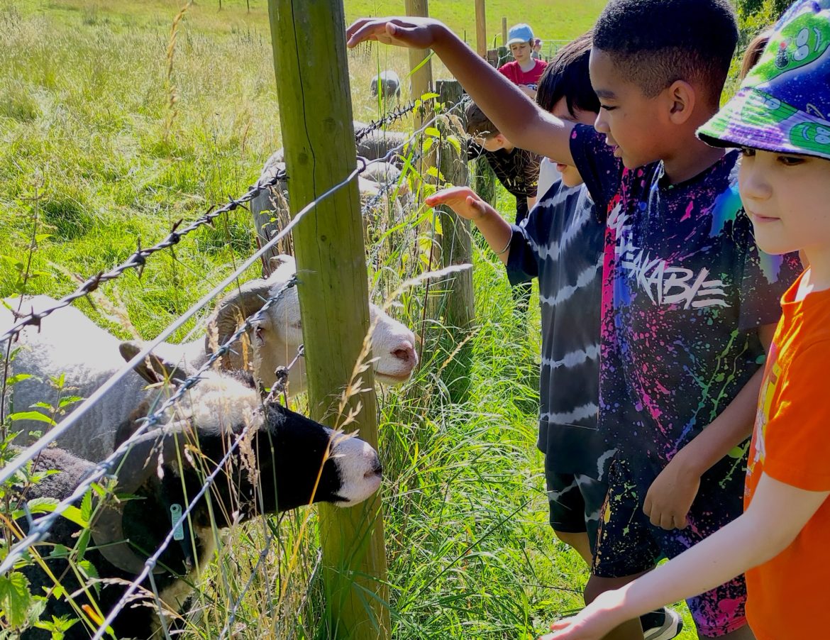 Applications Open for Weston Charity Awards 2025: Transformational Support for Front-line Charities