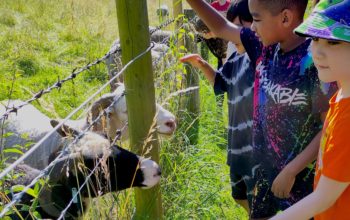 Applications Open for Weston Charity Awards 2025: Transformational Support for Front-line Charities